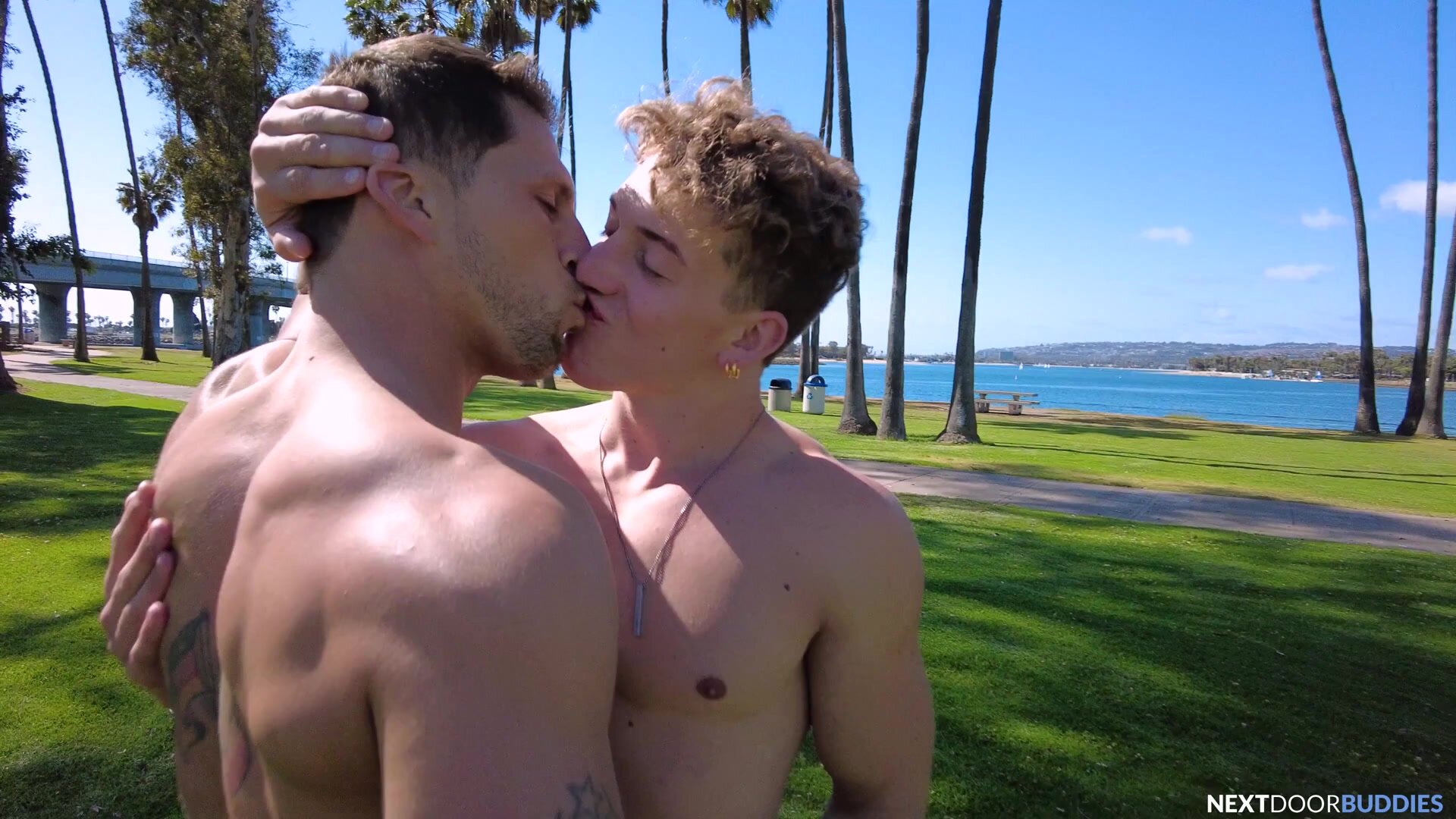 Hot Summer (Roman Todd, Felix Fox) - GayHardFuck.com